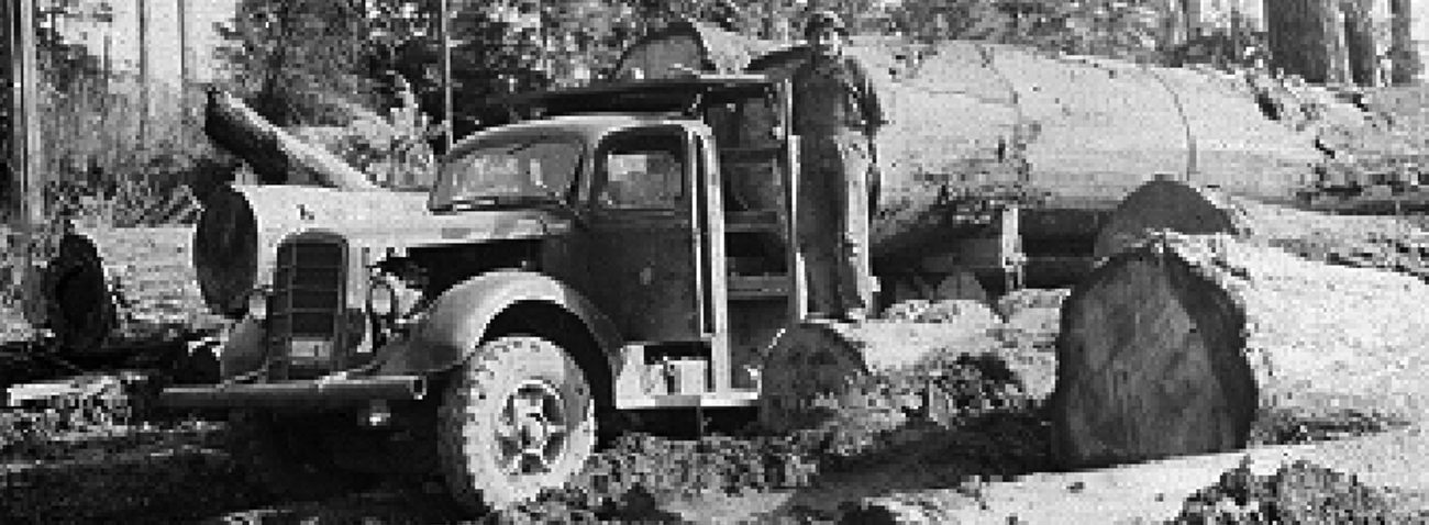 1946 Forestry