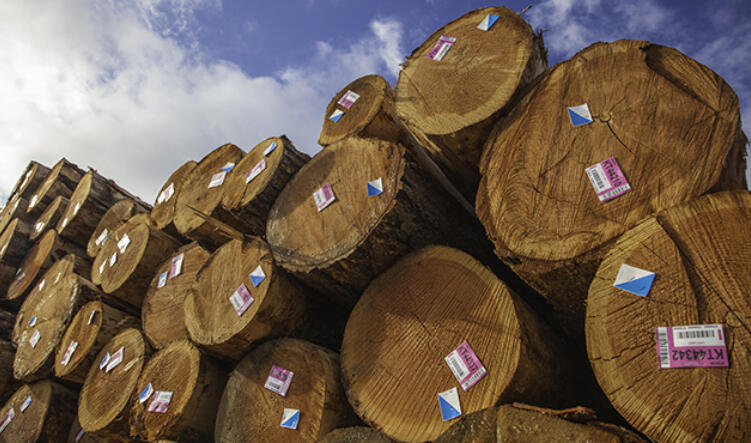 Us Forestry Products