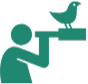 Bird/Wildlife Watching