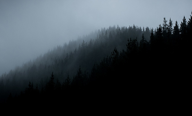 665 x 400 misty hills