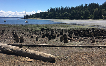 Port Blakely Partners on Blakely Harbor Park Cleanup Project
