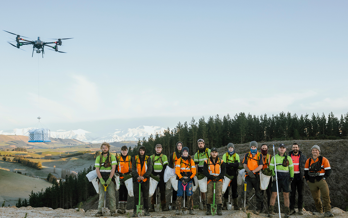 How Drones Are Lightening the Load for Forestry Crews