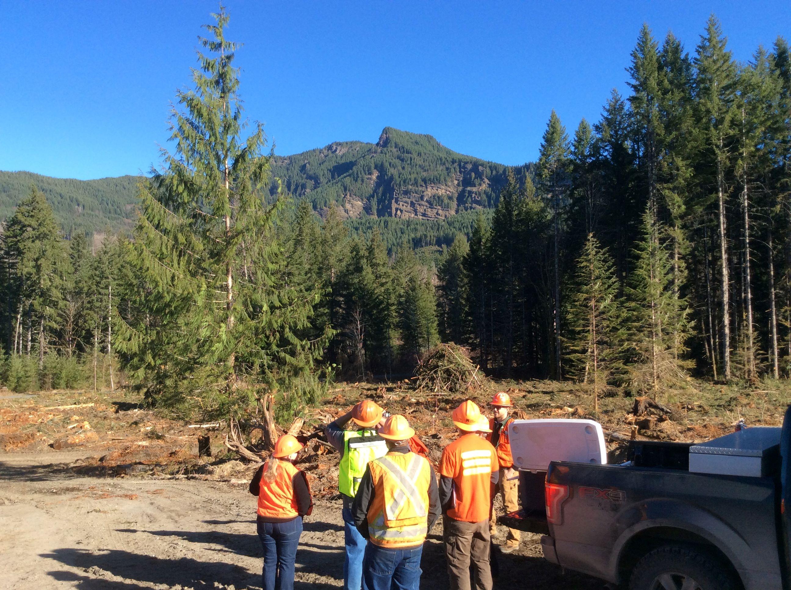 Investing in the Future of Forestry: Building a Thriving Workforce