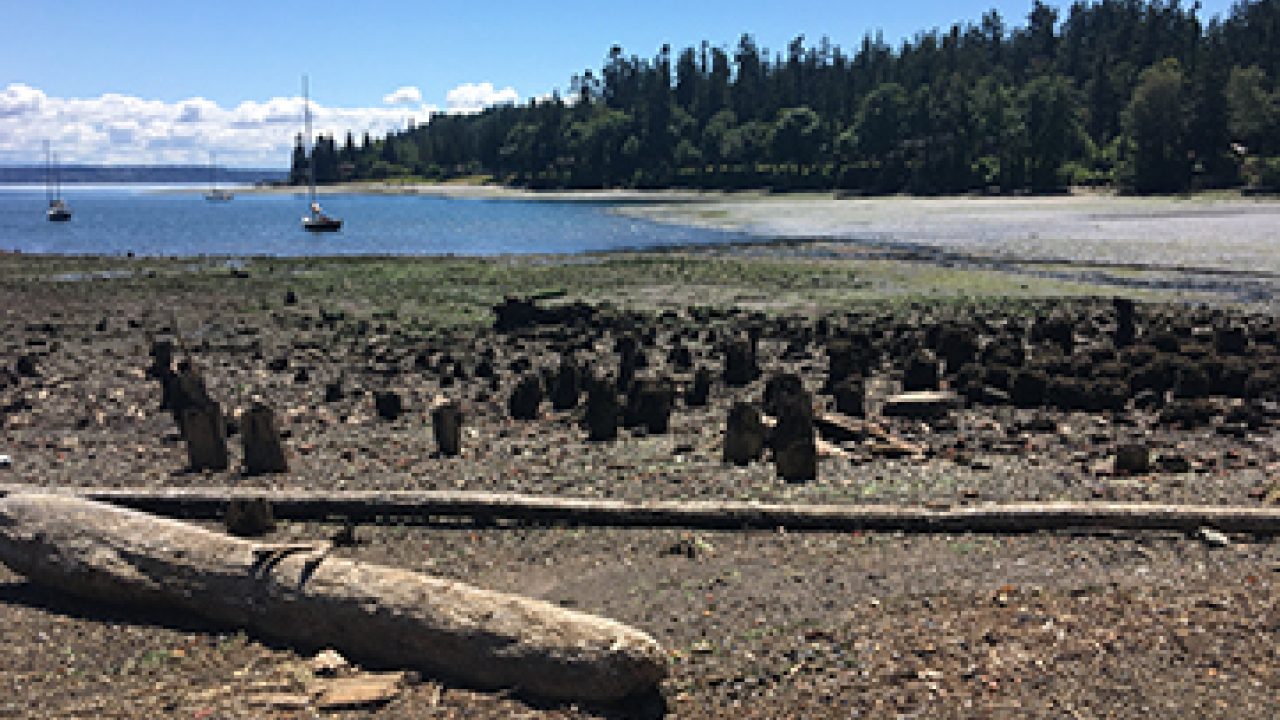 Port Blakely Partners on Blakely Harbor Park Cleanup Project