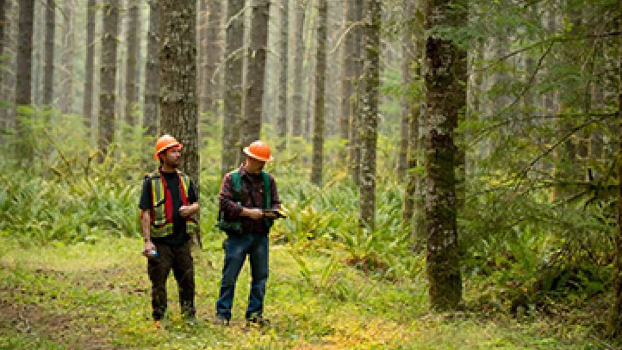 PSBJ: Port Blakely Named Family Business of the Year