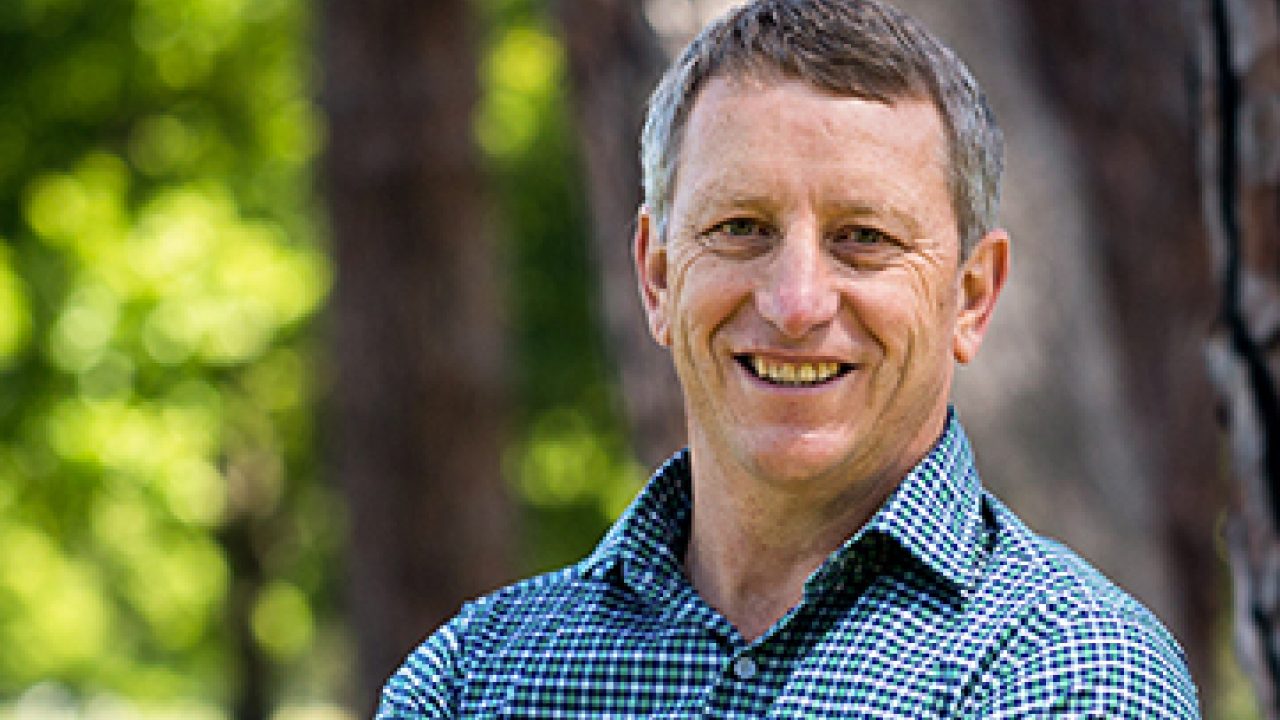 Port Blakely Approved to Acquire 3,000ha Clutha Forests
