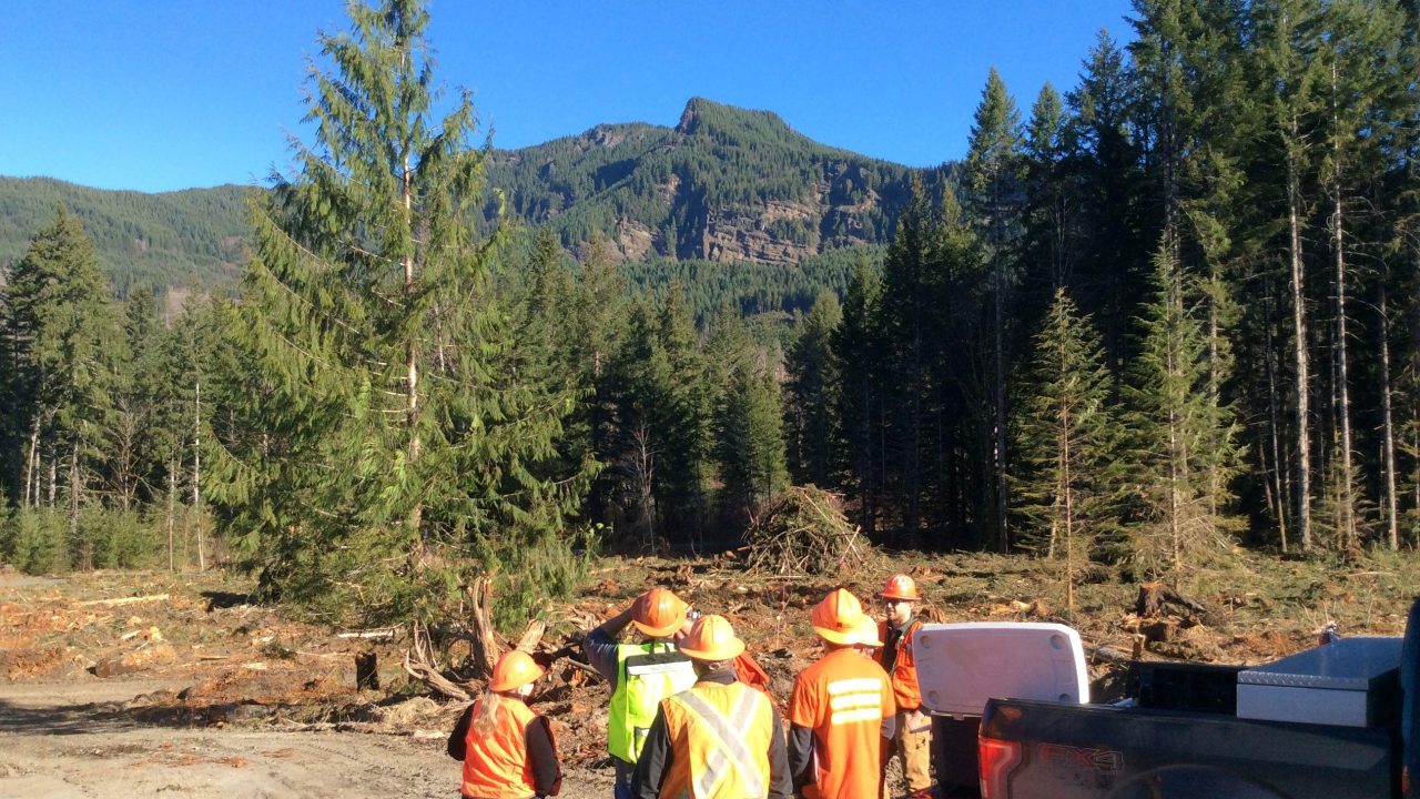 Investing in Forestry’s Future: Building a Thriving Workforce
