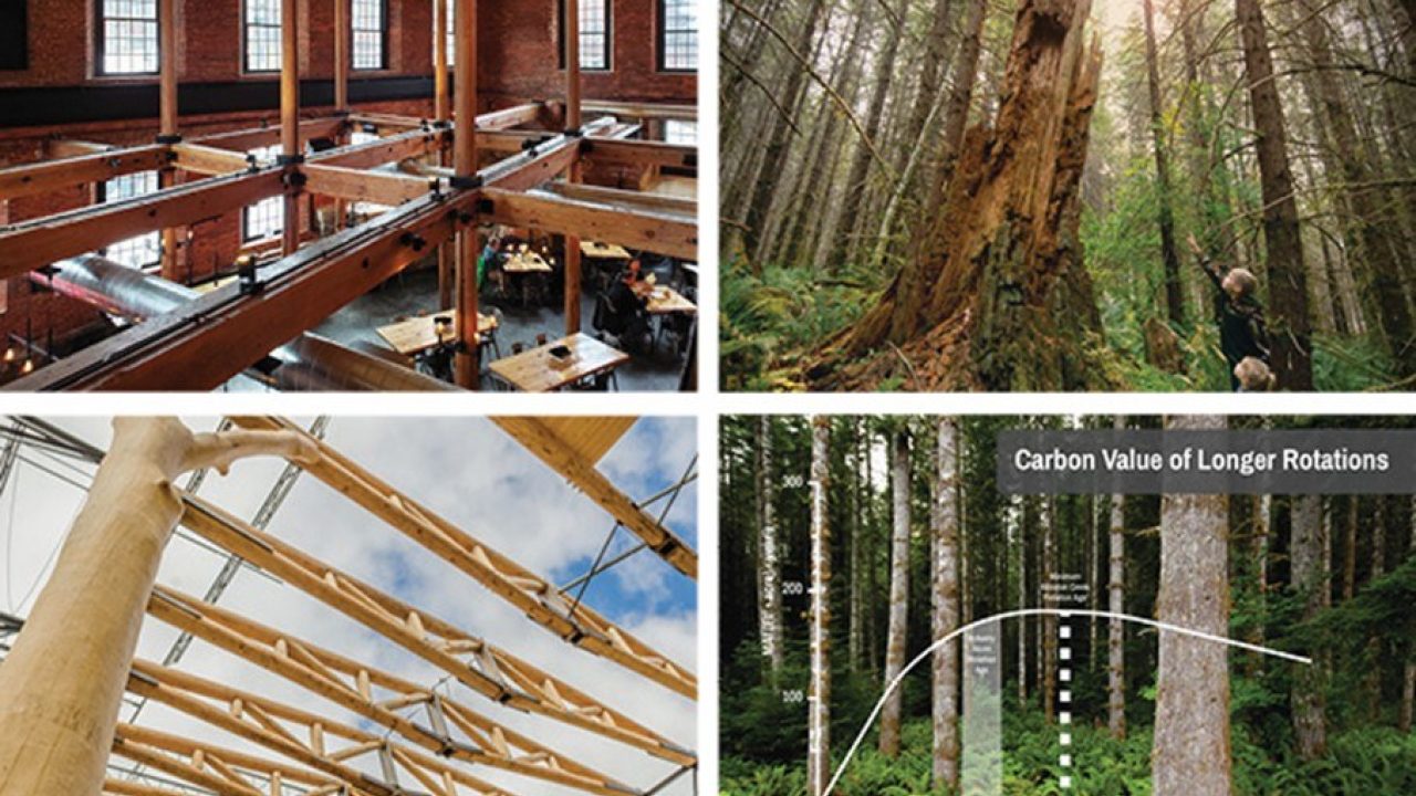 WholeTrees, Port Blakely Launch Certified Carbon Timber Products