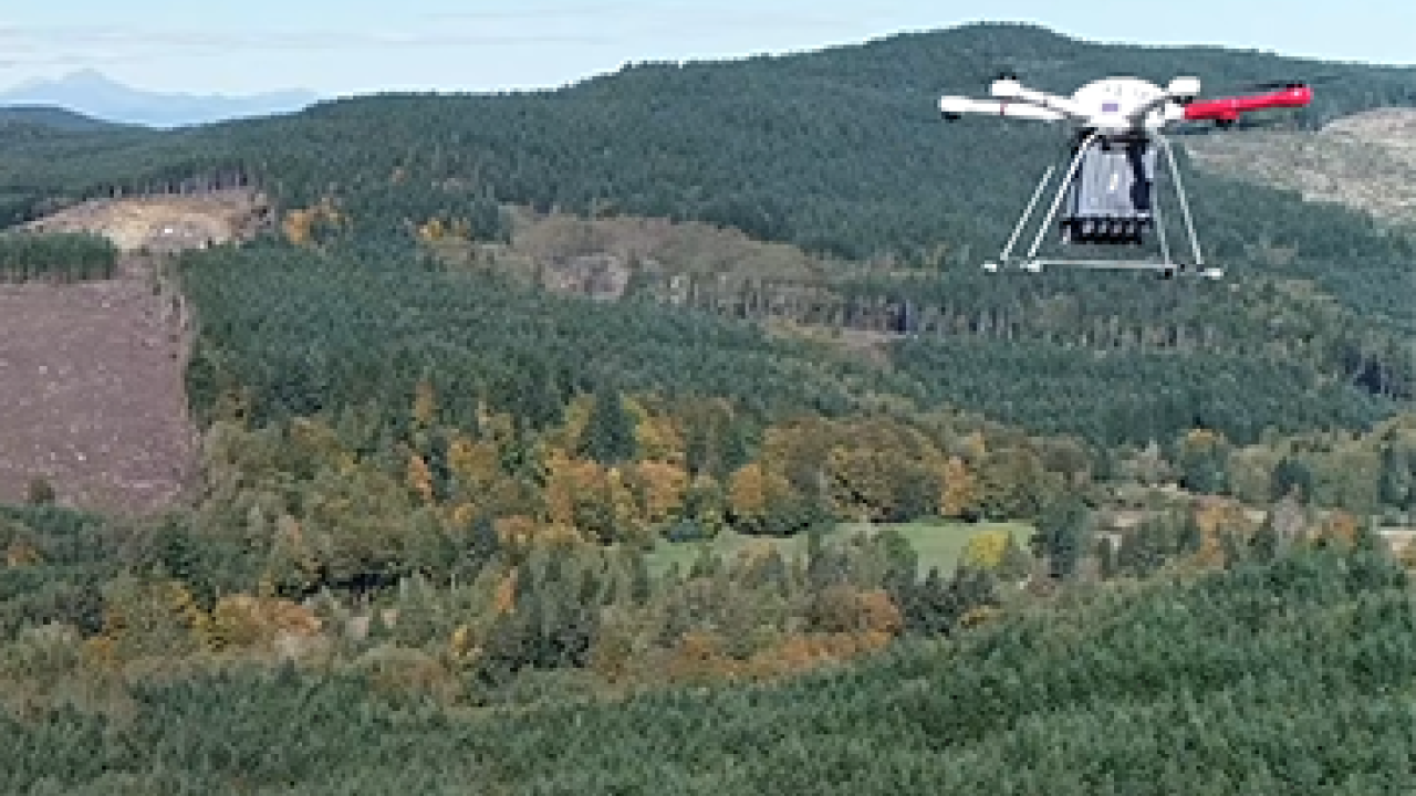 Port Blakely Forest Featured in #TeamTrees DroneSeed Video