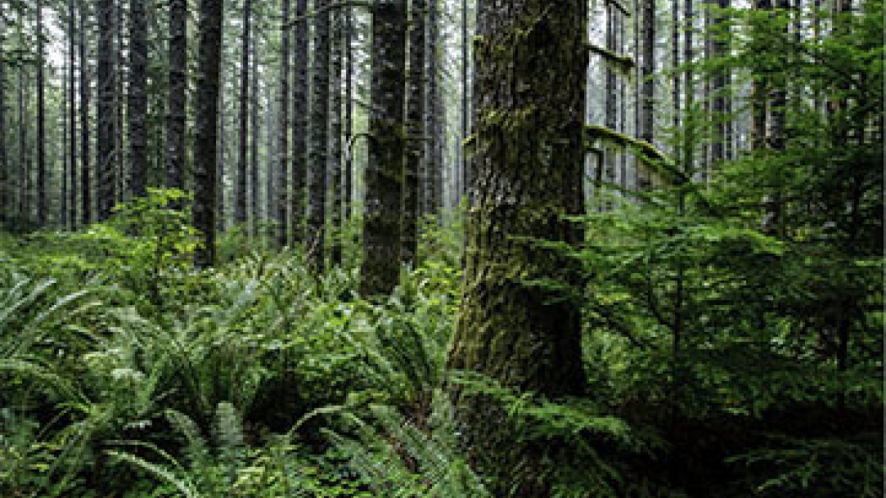 Port Blakely Advances Conservation Agreement