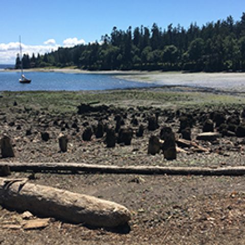 Port Blakely Partners on Blakely Harbor Park Cleanup Project