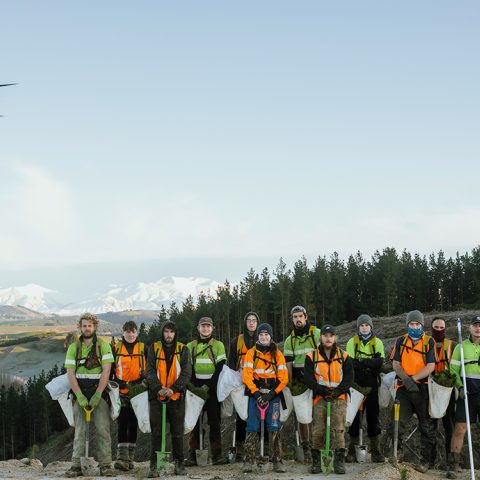 Drones are Lightening the Load for Forestry Crews