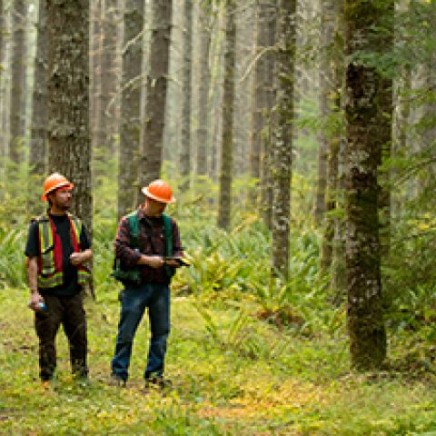 PSBJ: Port Blakely Named Family Business of the Year
