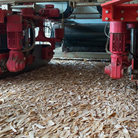 Port Blakely NZ Wins Award for Innovative Biofuel Initiative