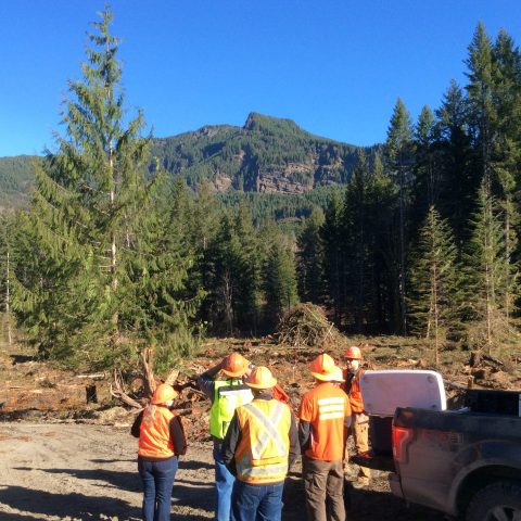 Investing in Forestry’s Future: Building a Thriving Workforce