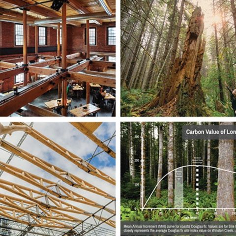 WholeTrees, Port Blakely Launch Certified Carbon Timber Products