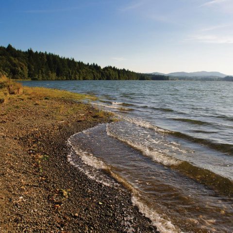 Squaxin Island Tribe, Port Blakely Announce Historic Land Deal