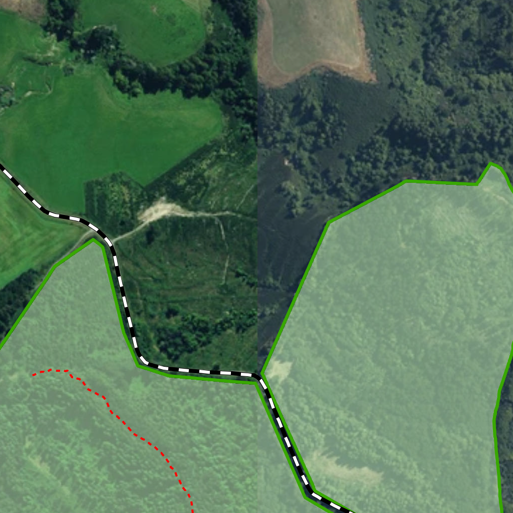 Raincliff Forest